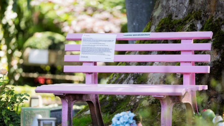 "Hallo, Ihr Lieben": Rosa Bank von Dirk Bach ist wieder da