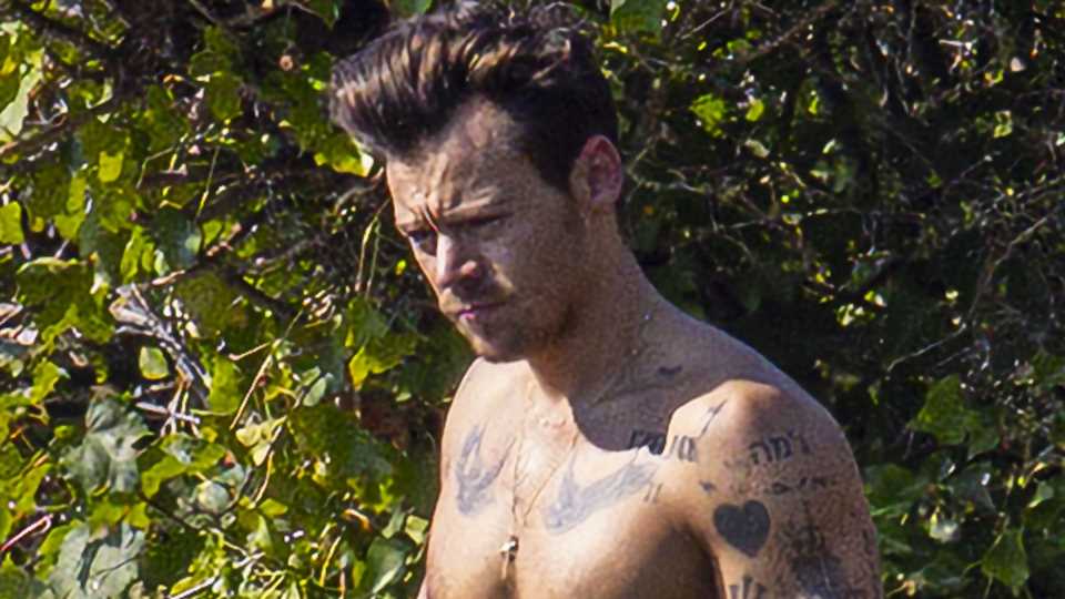 So hot genießt Harry Styles seinen freien Sommer am Teich!
