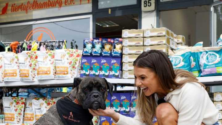 Ihr Hund Milo ist für sie Ruhe und Halt