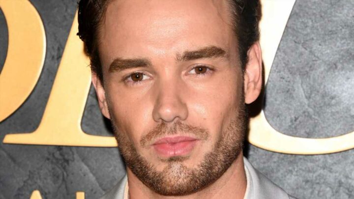 Lappen weg? Liam Payne hat ziemliche Probleme mit dem Gesetz