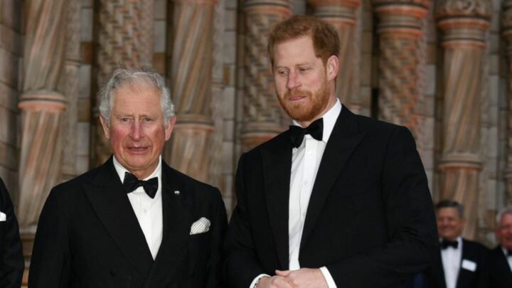 Charles' royale Geburtstagsparty: Überraschungs-"Auftritt" von Prinz Harry