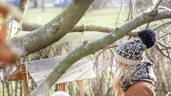 So können Gartenbesitzer den Tieren helfen