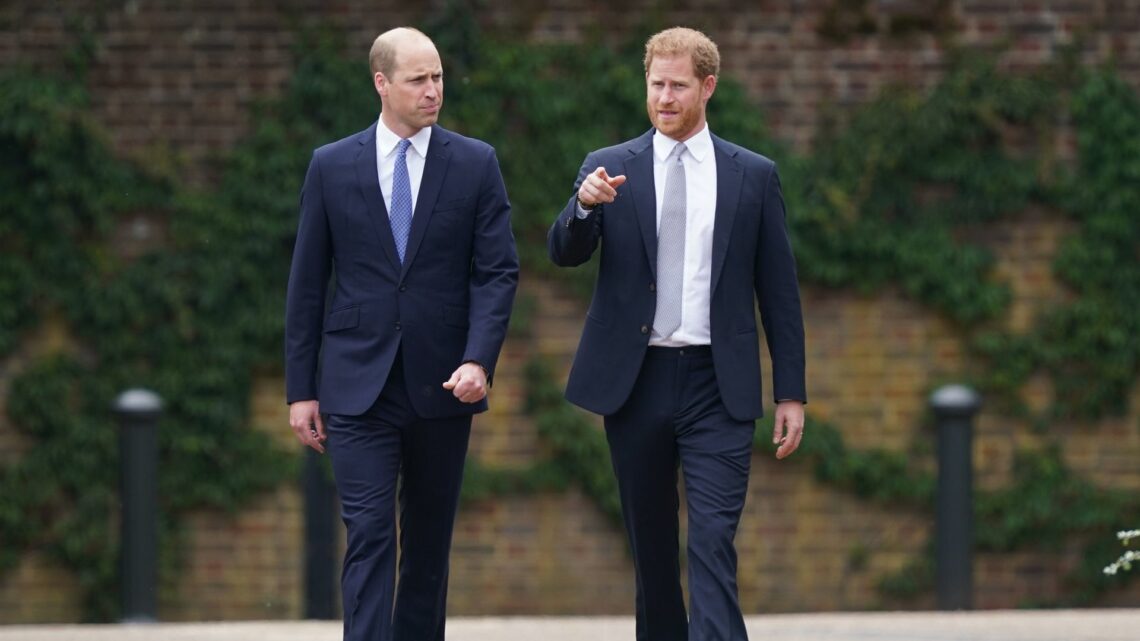 Prinz William vs. Harry: Welche Weihnachtskarte ist schöner?